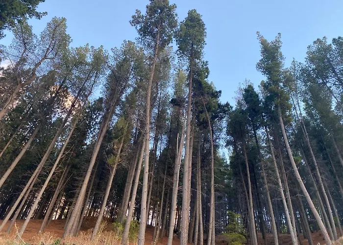 Altos De Esquel